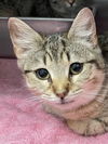 Alice: visit at Petsmart Lynchburg