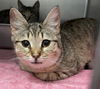 Alice: visit at Petsmart Lynchburg