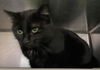Ella: Visit At Petsmart Lynchburg
