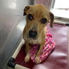 Nola: At the shelter