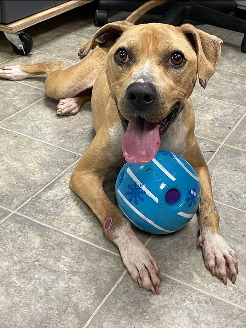 Nola: At the shelter