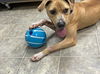 Nola: At the shelter