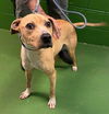 Nola: At the shelter