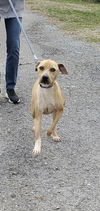 Nola: At the shelter