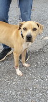 Nola: At the shelter