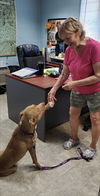 Shack aka Shaq: at the shelter