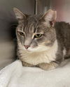 Luna: Visit At Lynchburg Petsmart