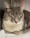 Luna: Visit At Lynchburg Petsmart