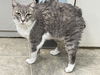 Luna: Visit At Lynchburg Petsmart