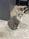 Luna: Visit At Lynchburg Petsmart