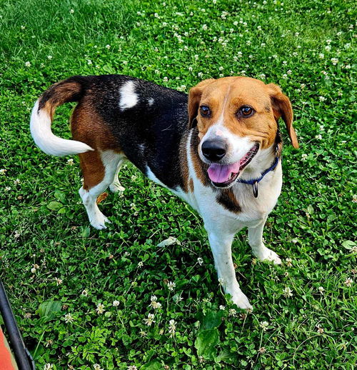 Mya: Not At shelter