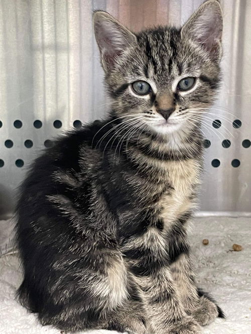 Eloise: Visit soon at Lynchburg Petsmart