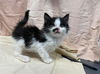 Sleepy - At shelter