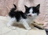 Sleepy - At shelter