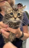 Axel: Visit at Petsmart in Lynchburg