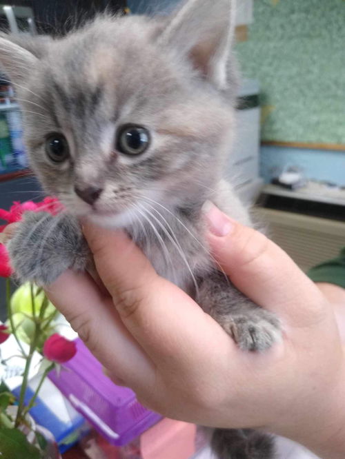 Euro: (Mom Dime) At shelter