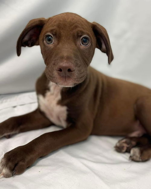 Andrew: Not at the shelter