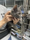 Luke: Visit at Petsmart Lynchburg!