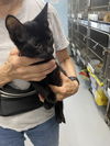 Harry: Visit at Petsmart Lynchburg