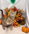Hope: Visit At Petsmart Lynchburg