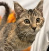 Hope: Visit At Petsmart Lynchburg