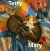 Terry: Visit at Petsmart Lynchburg