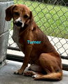 Turner: At the shelter