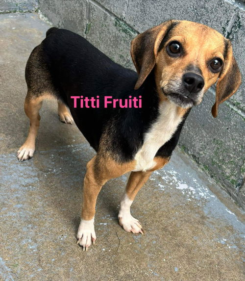 Tutti Fruitti: Not at the shelter (Kendra)