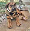 Luke: Not at shelter (Missy)