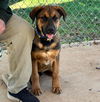 Luke: Not at shelter (Missy)
