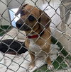 Marley: At shelter