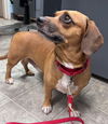 Marley: At shelter