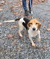 Lusardi - At shelter available 11/17