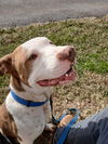 Wilbur: At shelter