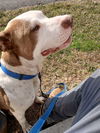 Wilbur: At shelter