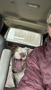 Wilbur: At shelter