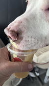 Wilbur: At shelter