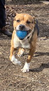 Alia: At shelter-Sponsored