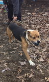 Alia: At shelter-Sponsored