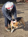 Alia: At shelter-Sponsored