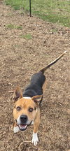Alia: At shelter-Sponsored