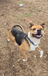 Alia: At shelter-Sponsored
