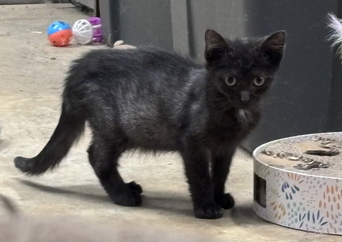 Parker: Visit At Petsmart Lynchburg