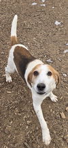 Cole: At the shelter-Sponsored