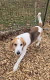Cole: At the shelter-Sponsored