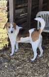Cole: At the shelter-Sponsored