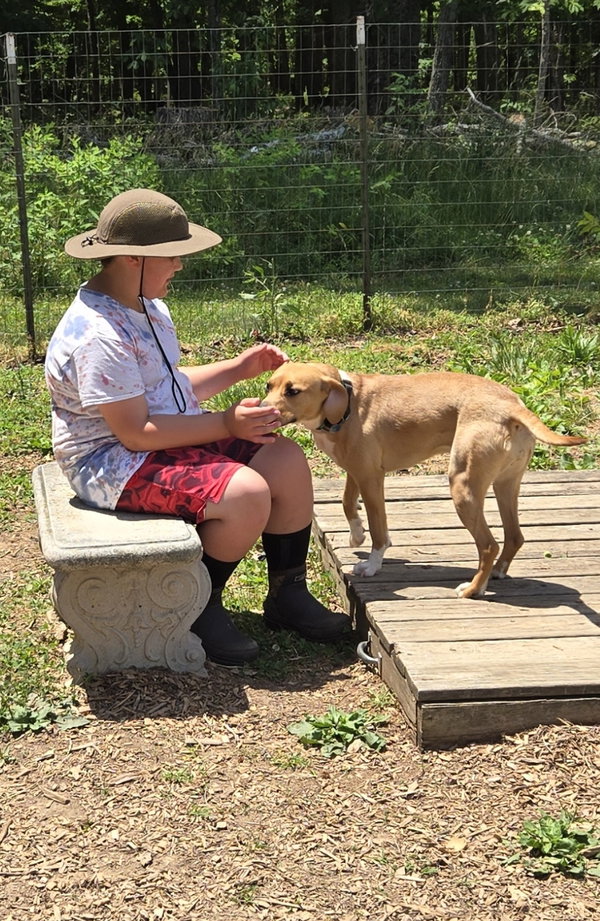 Millie Merci - At shelter