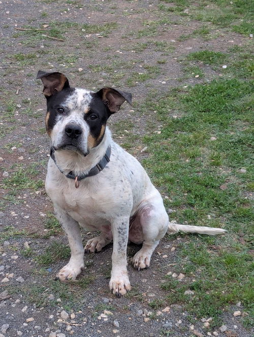 Milo: Not At shelter-Sponsored by 