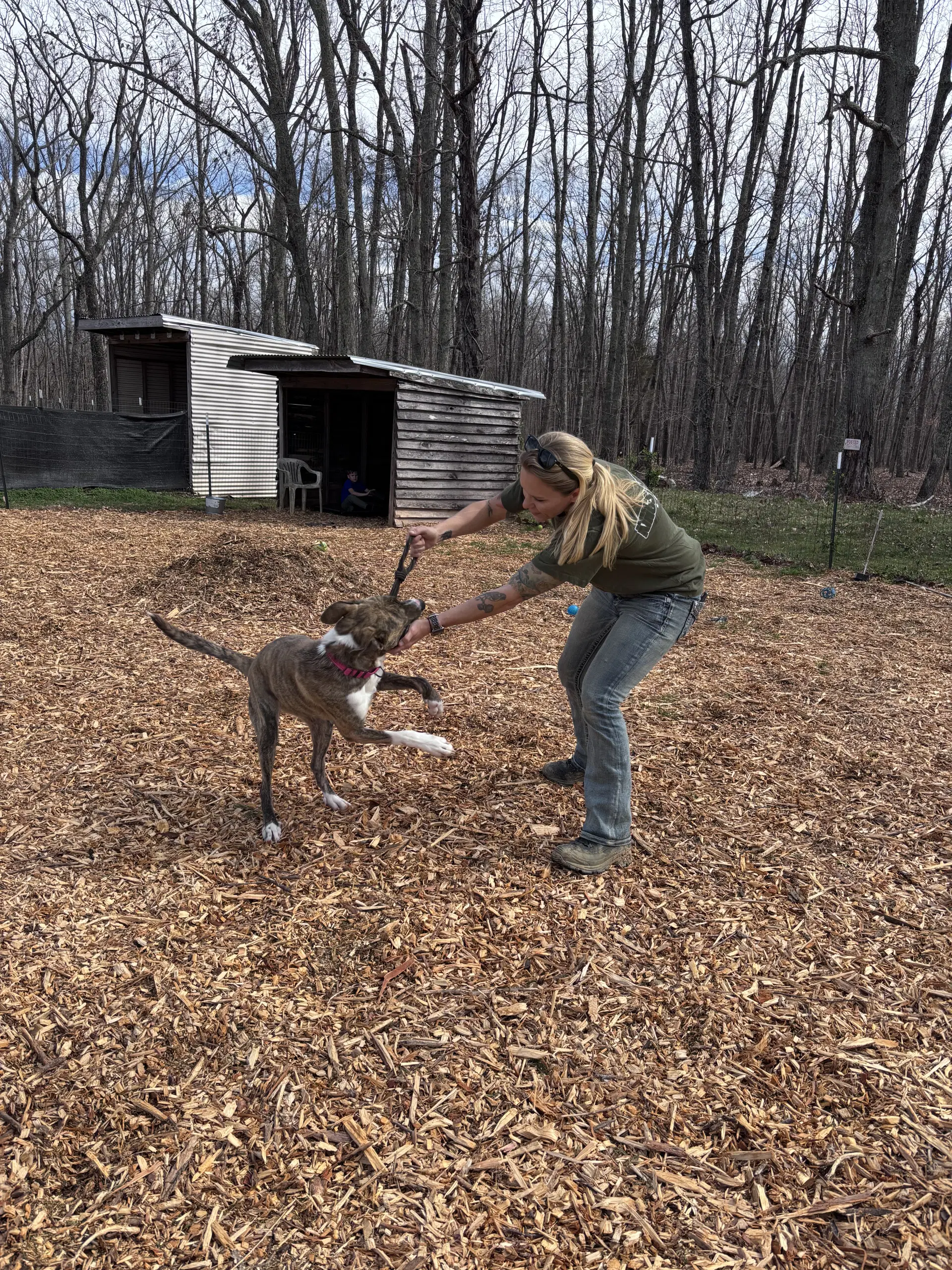 Sophia Not At The Shelter Alan image 2