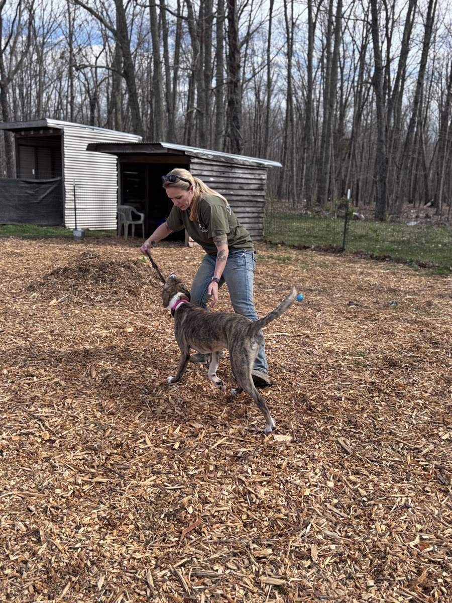 Sophia: Not at the shelter (Alan)
